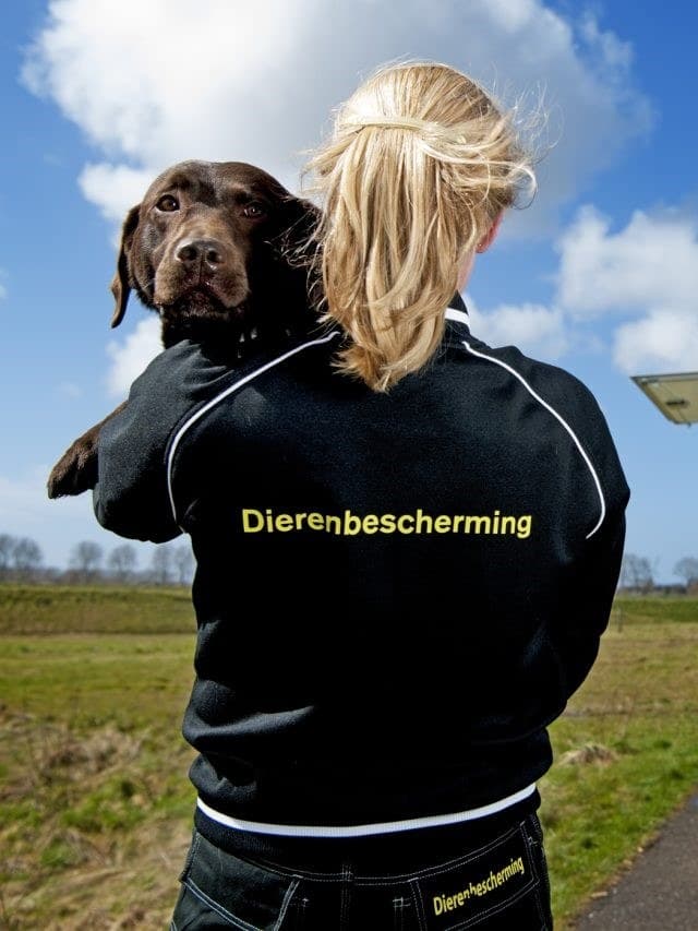 Dierenbescherming Groningen