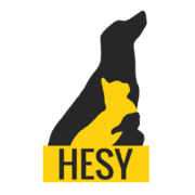 HESY Helsinki