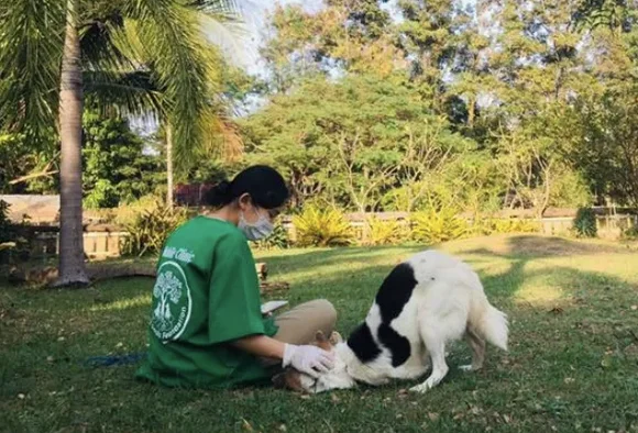 Care at Saved Souls sanctuary