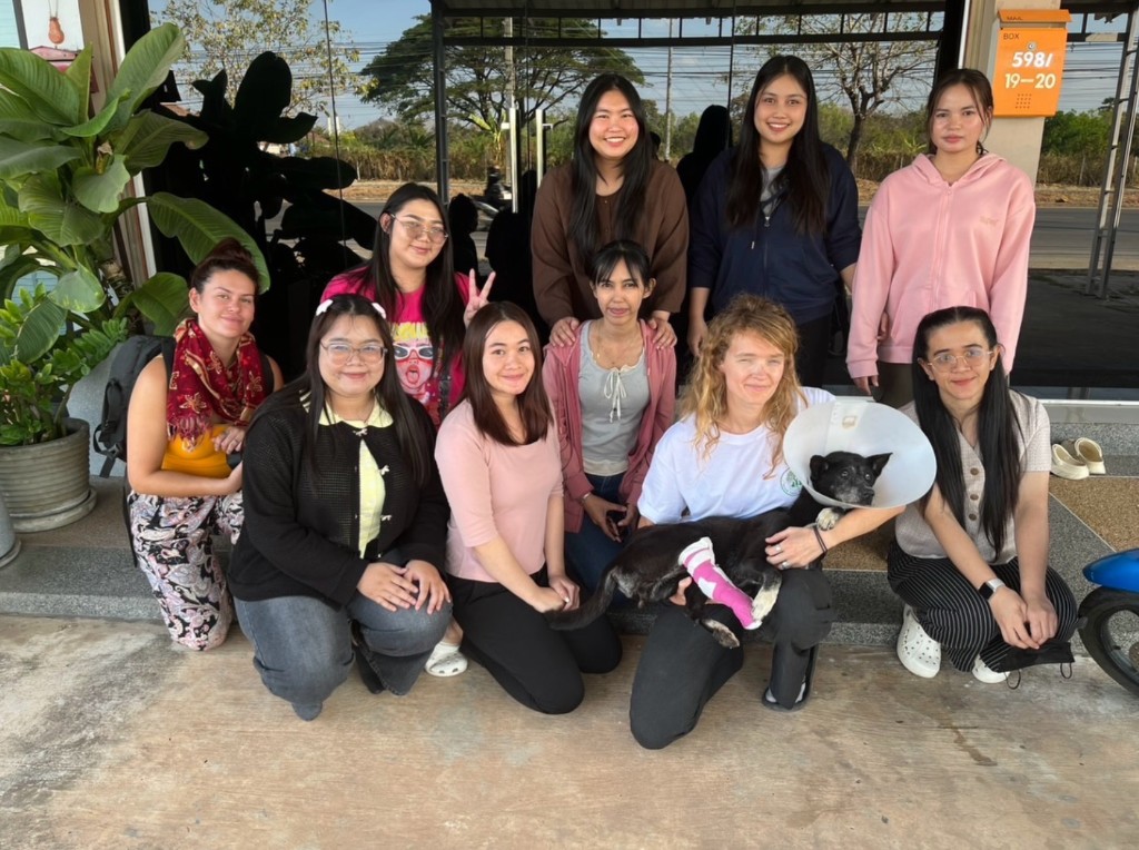 Saved Souls Foundation team and volunteers with a rescued dog