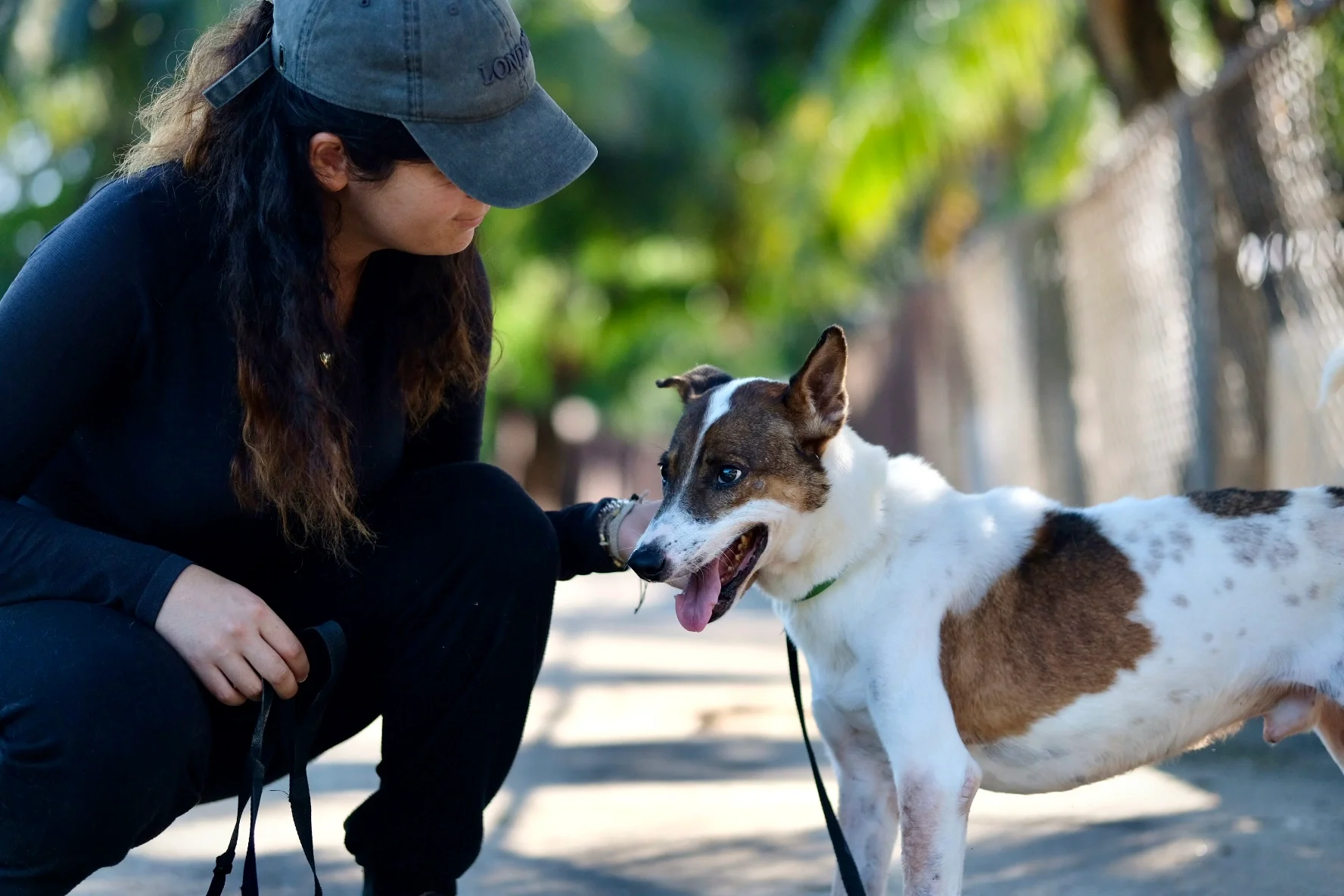 Volunteer with a rescued dog on a walk