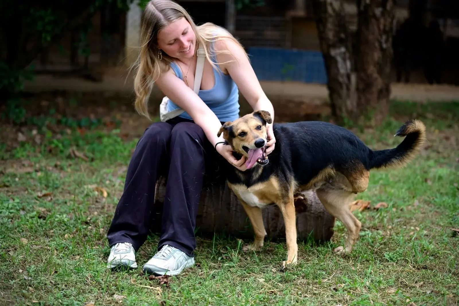 Volunteer with a rescued dog in nature